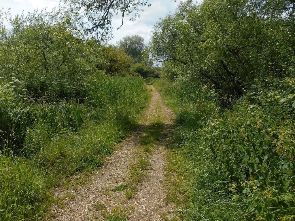 Shirley Apartments, Cozy Studio, Self Check In, 10 Min Drive To City Centre, Walking To Redbridge Train Station Southampton Ngoại thất bức ảnh